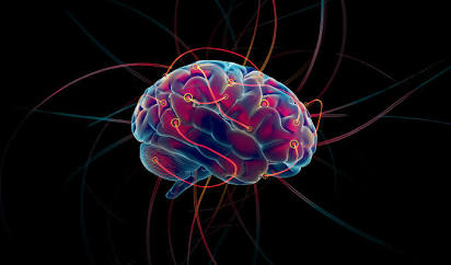 A herança nas conexões do cérebro: Quando o passado da família comanda os seus passos