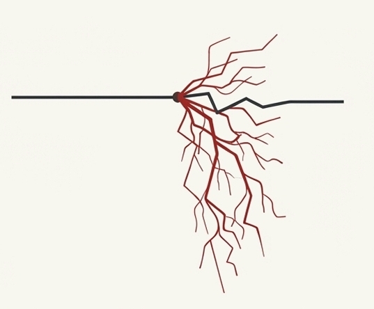 Cascadas de riesgo y conducta antisocial en la adolescencia
