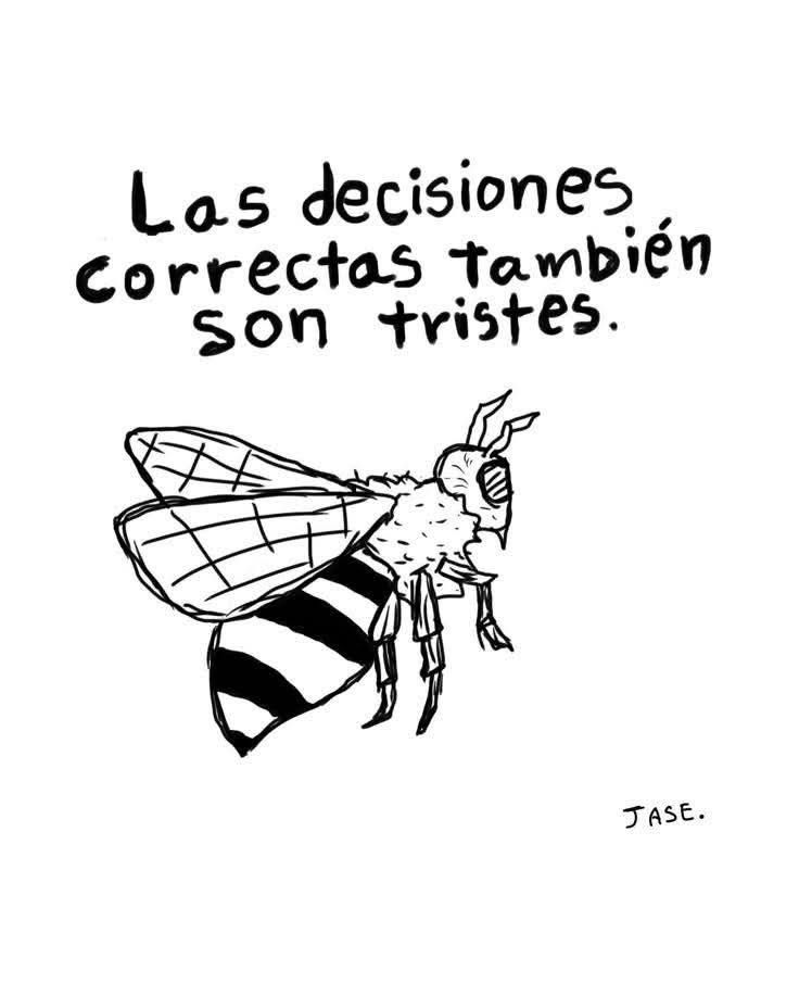 El Duelo Invisible: Por Qué las Decisiones Correctas También Son Tristes