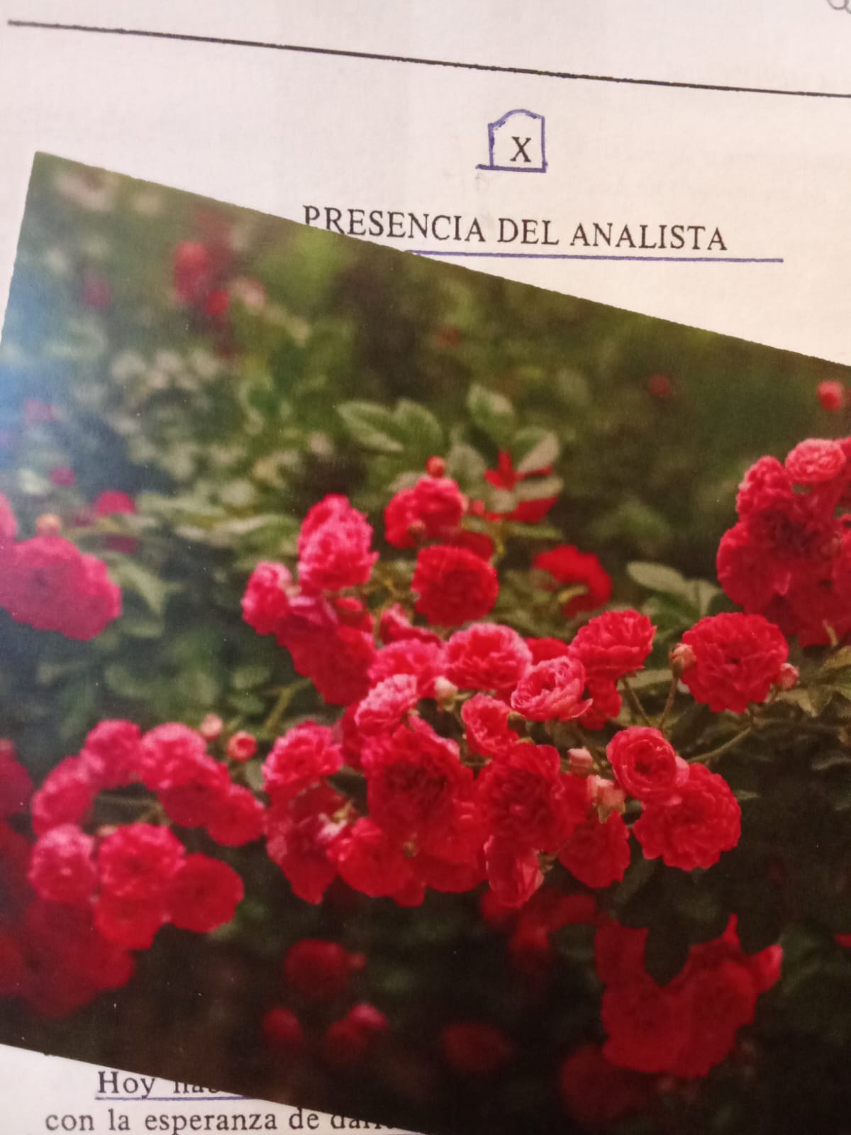 Es posible salir de la angustia