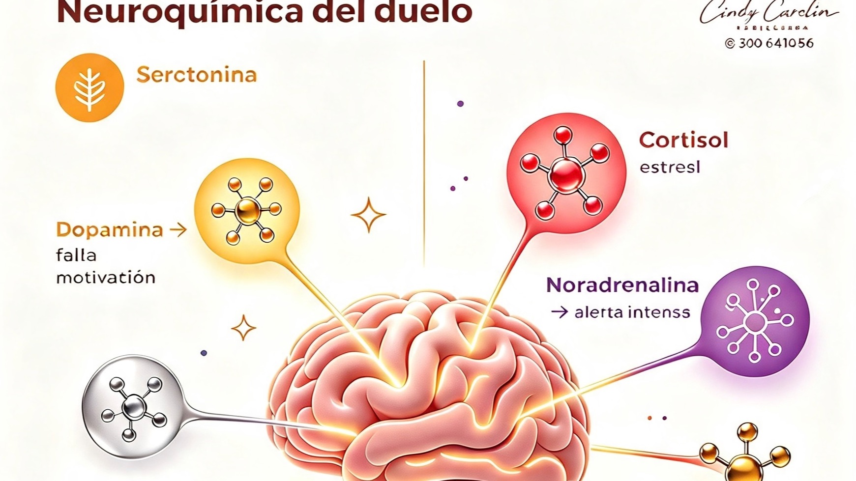 ¿Qué le pasa al cerebro cuando estamos viviendo un duelo?