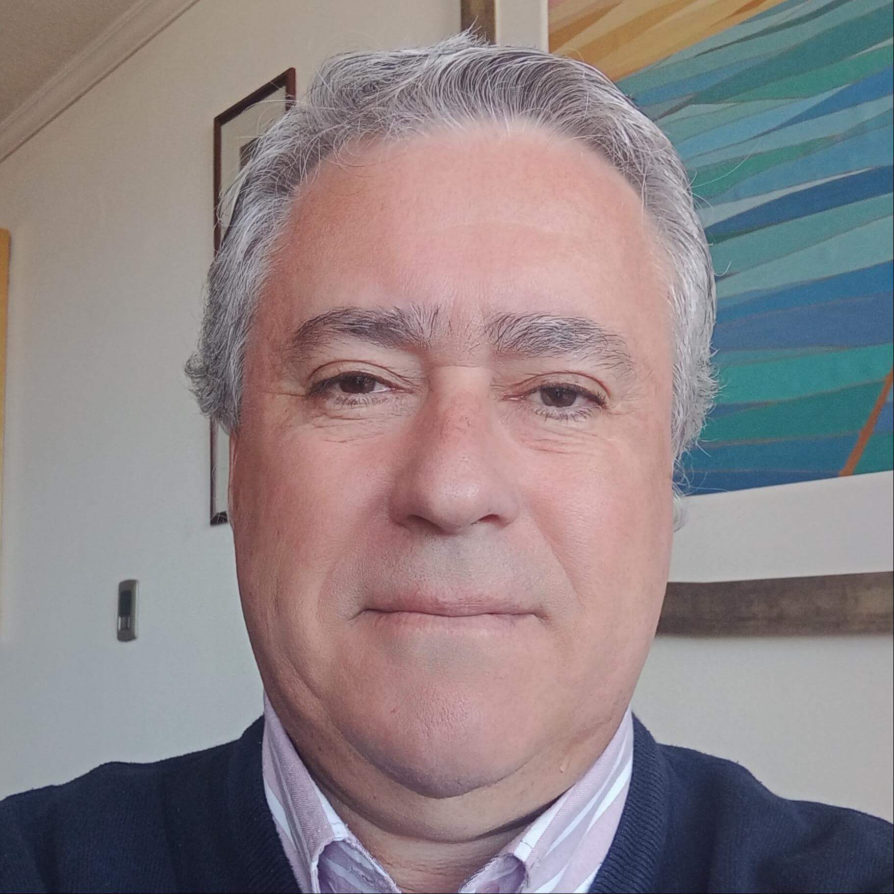 Francisco Aravena H.