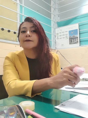 Diana Lizbeth  Valdés Solís