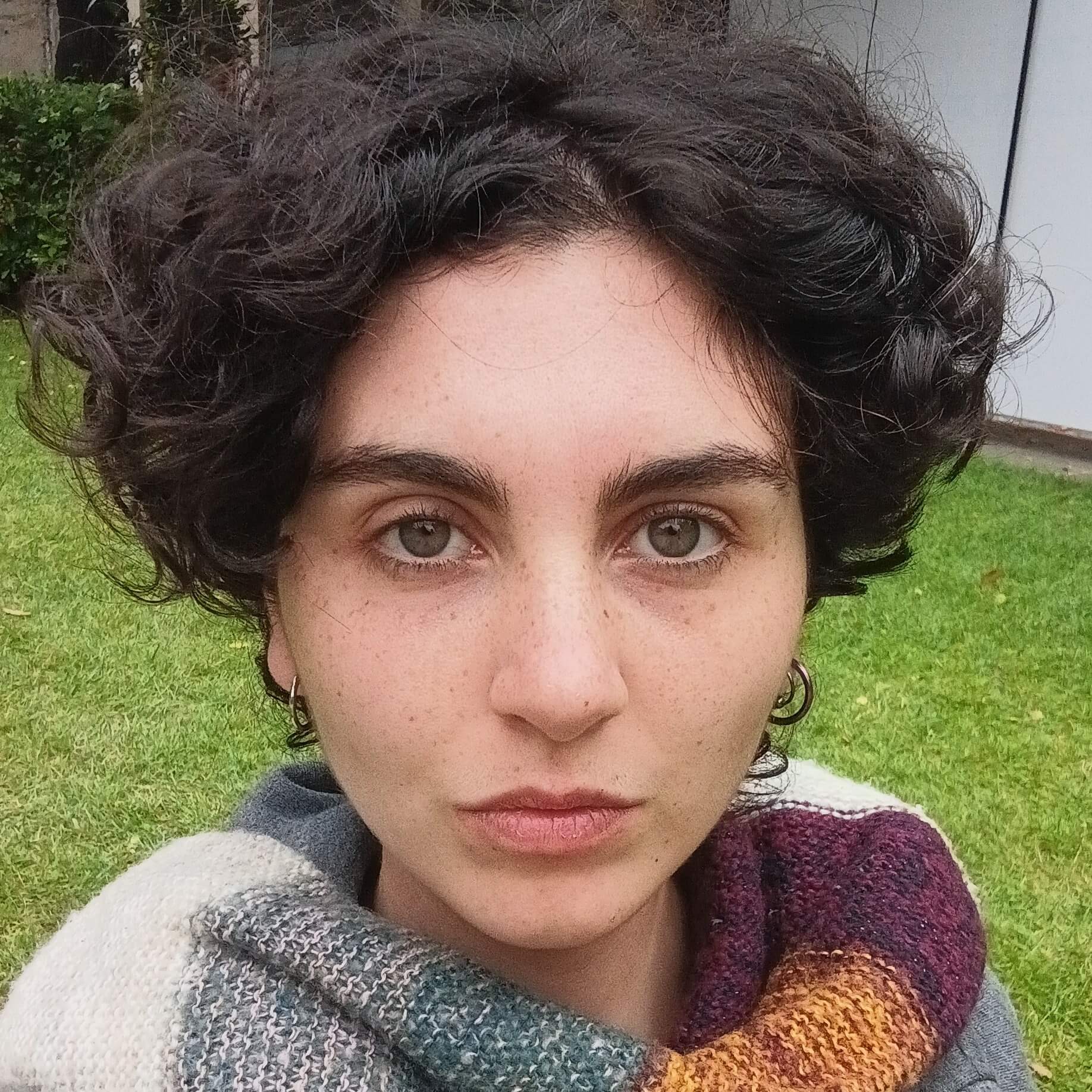 Sael Andreí Colacci