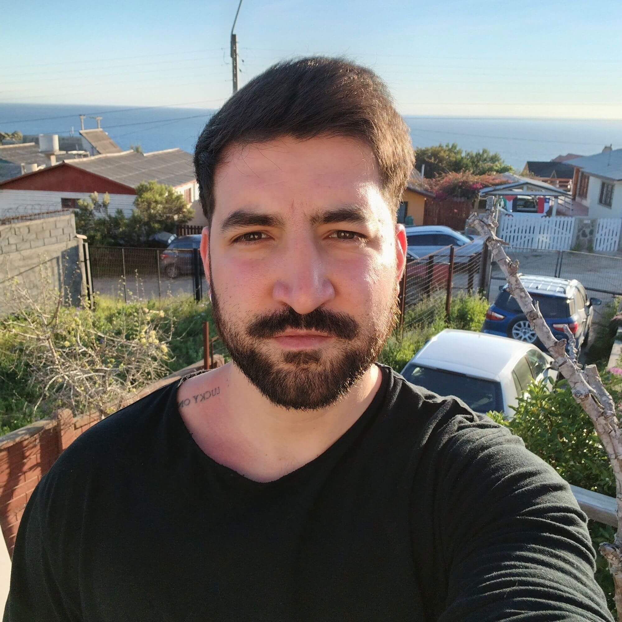 Martín  Encina Opazo