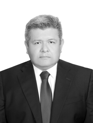 Martín Raúl  Chávez Moreno
