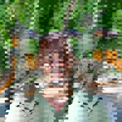 Владислав Добротворский 