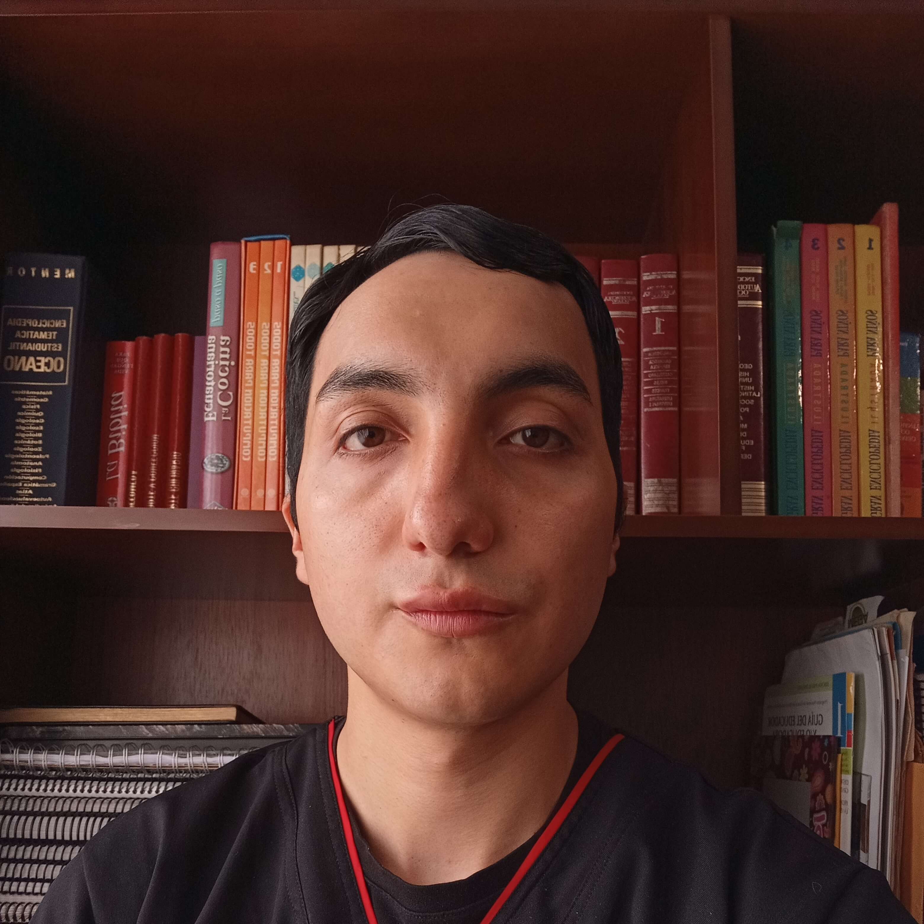 Julio Andres Morales Castro