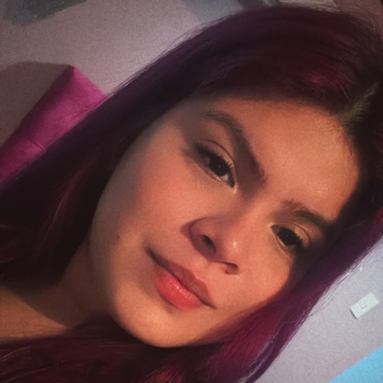 Jamileth Briones