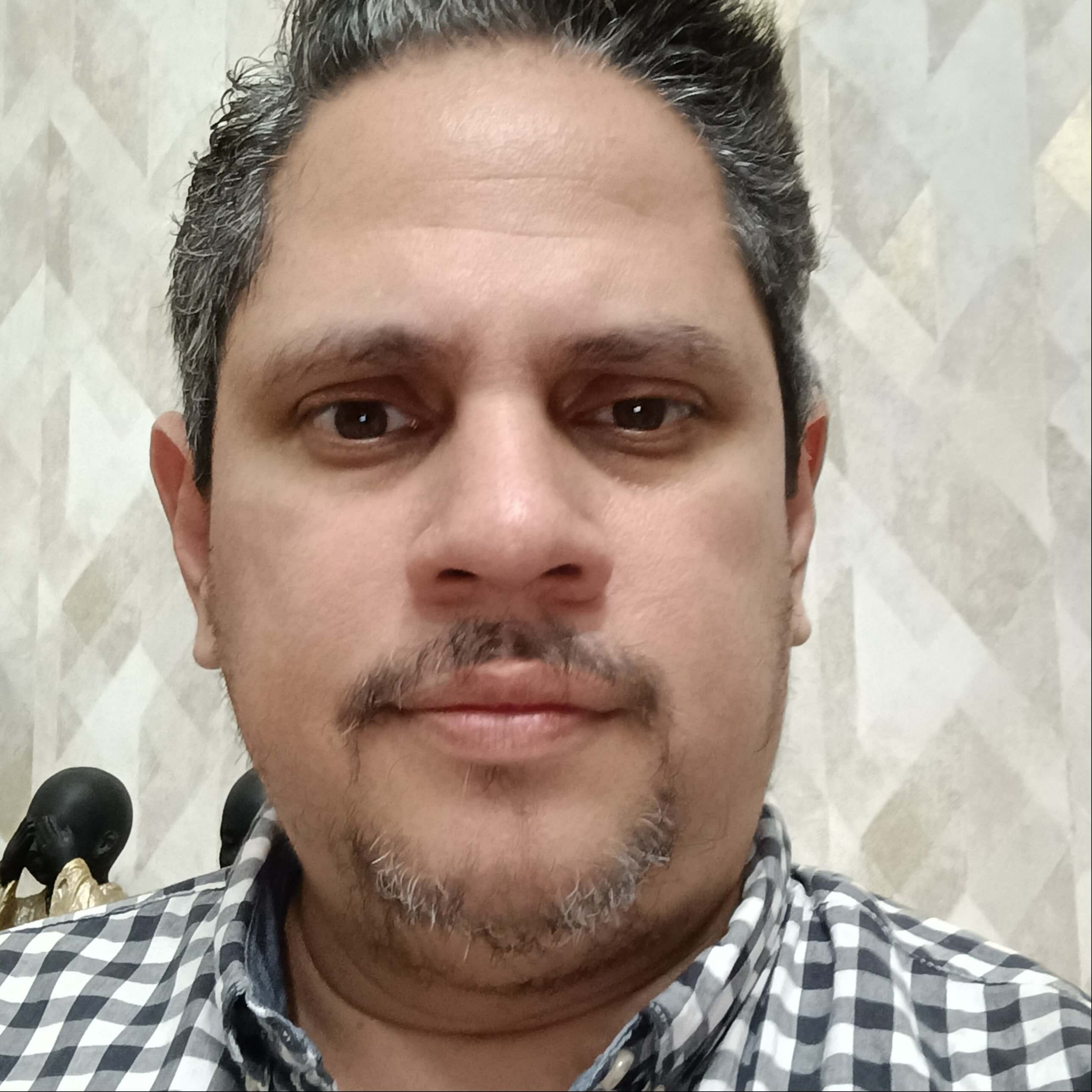 José Torres Villanueva 