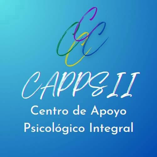 Centro de Apoyo Psicológico Integral C.