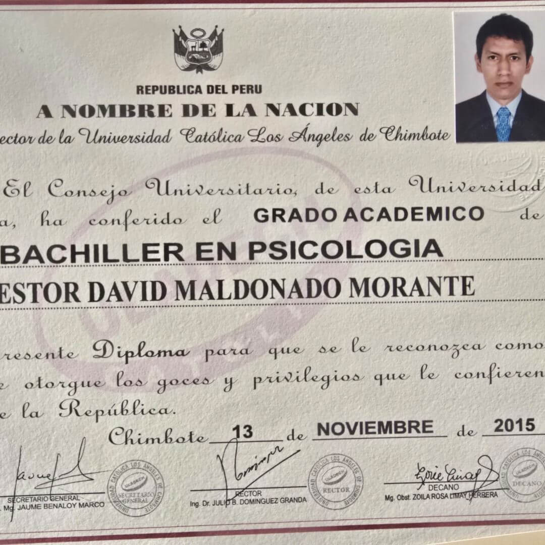 Nestor david Maldonado morante