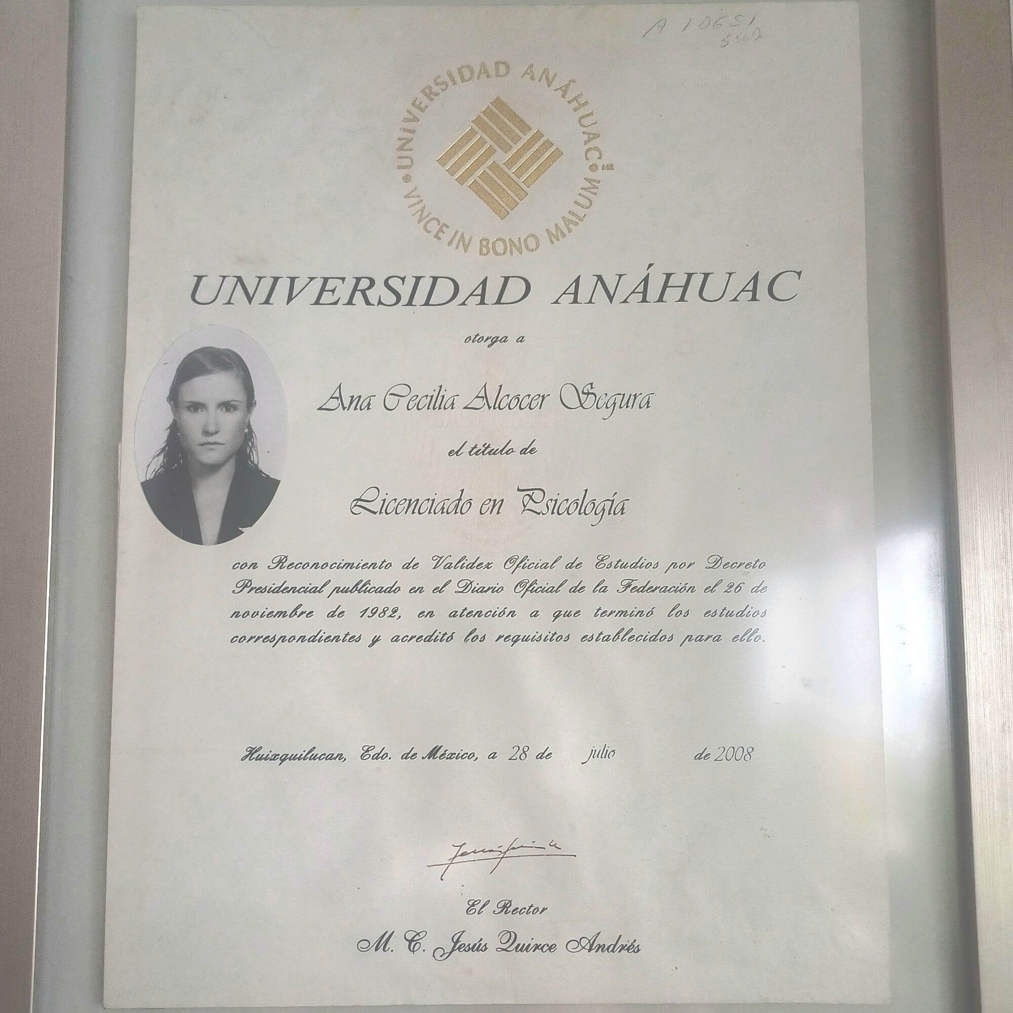 Cecilia  Alcocer  photo 2