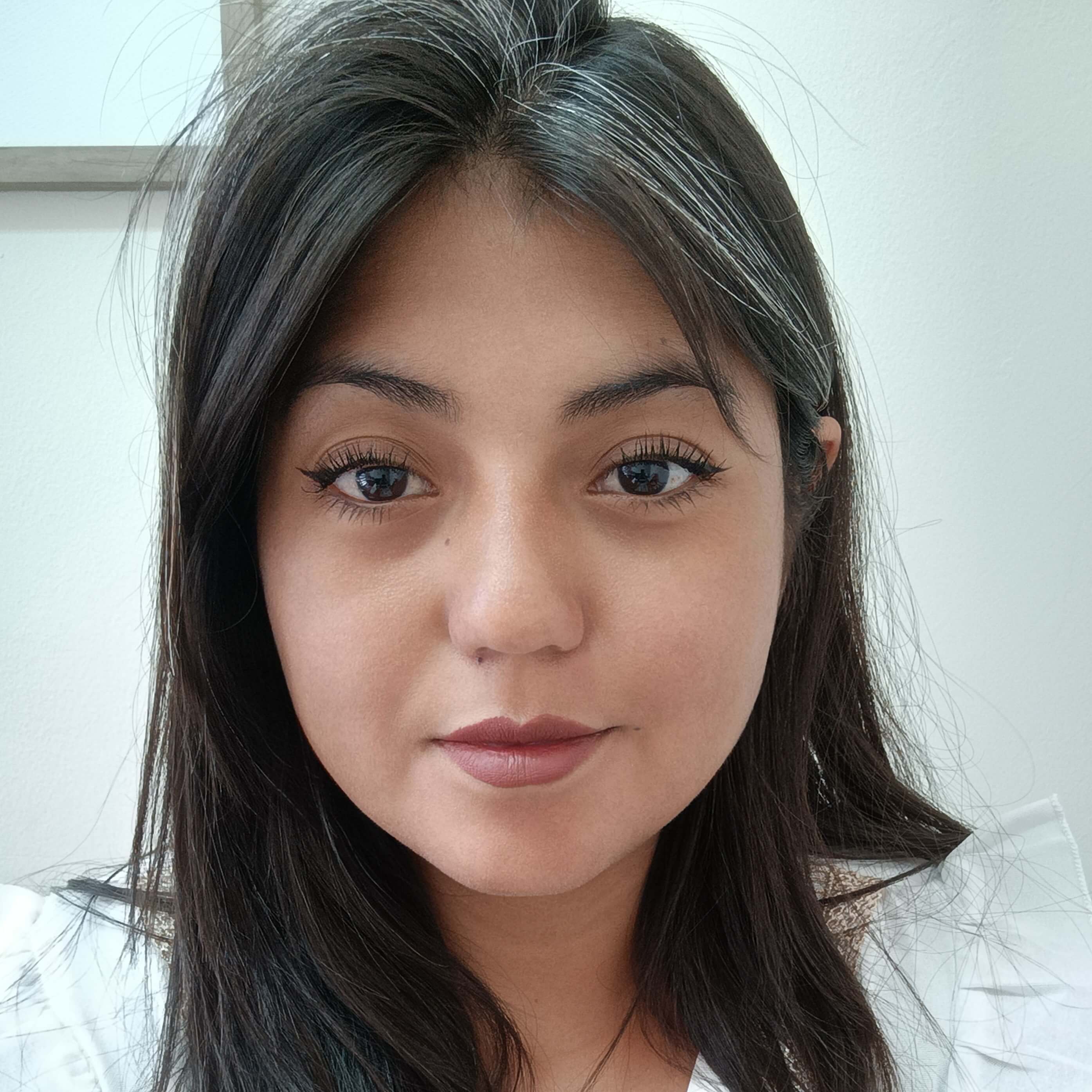 Constanza Macarena Huaitro Salazar