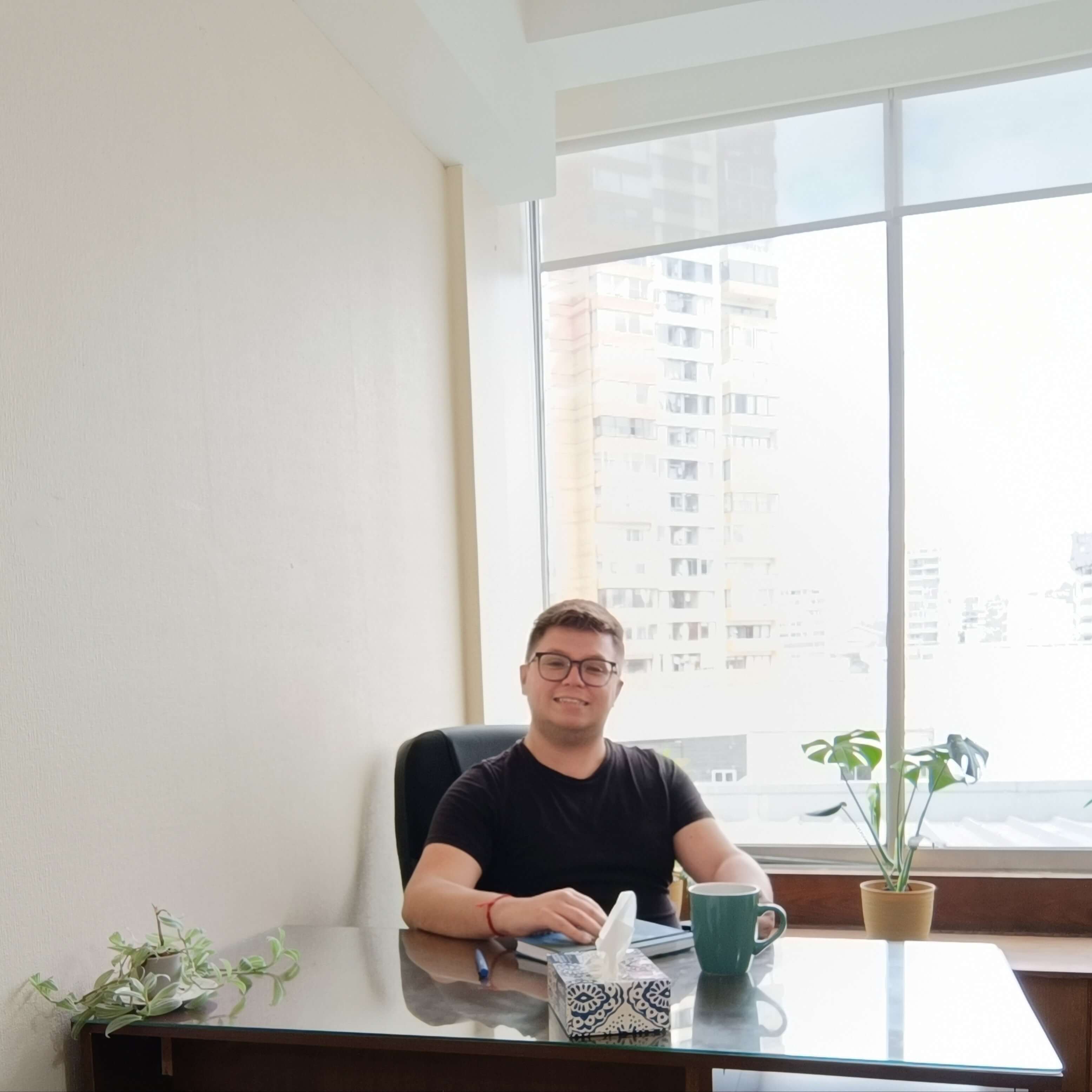 Fernando  Arce Estay