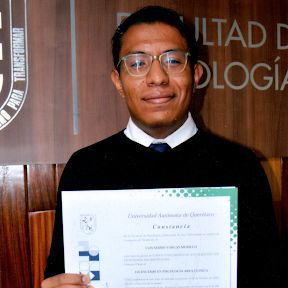 Luis Mario Vargas Murillo