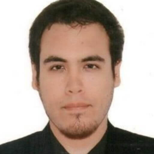 Luis Ricardo  Landeo Castro 